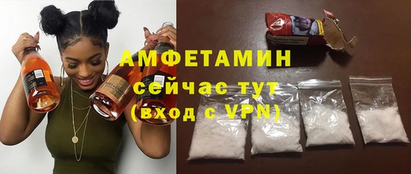 прущие грибы Балабаново