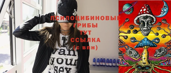 прущие грибы Балабаново